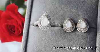 Meet the South Shields woman who makes jewellery from breast milk, fur, ashes and teeth for a very special reason