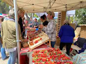 Carton pour la 48e Fête des fraises de Carros