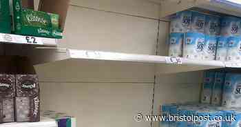 Fears of toilet roll shortages as new EU law comes into effect