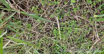 Check pastures for options to upgrade