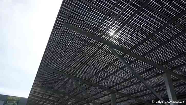 Earth Day celebrations observed at events around Calgary