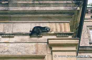 FW-DT: Feuerwehr Detmold rückt am Wochenende zu mehreren Einsätzen aus