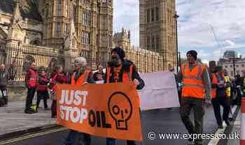 Just Stop Oil Van Gogh activist to tour campuses and 'train' students up for 'resistance'