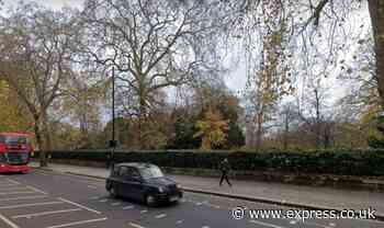 Teen's major rescue operation after becoming impaled on fence near Kensington Palace