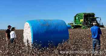 Ex-ADF personnel deployed to cotton pickers, farm jobs