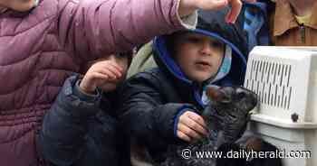 Eid Fest brings celebratory end to Ramadan