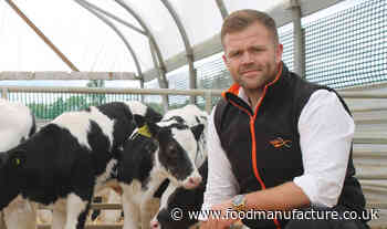 Beef genetics driving efficiency and consistency in beef supply chains