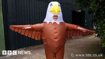 Blackpool Zoo recruiting human 'seagull deterrents'