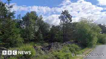 Forest of Bowland: Man's body found in wood identified after appeal