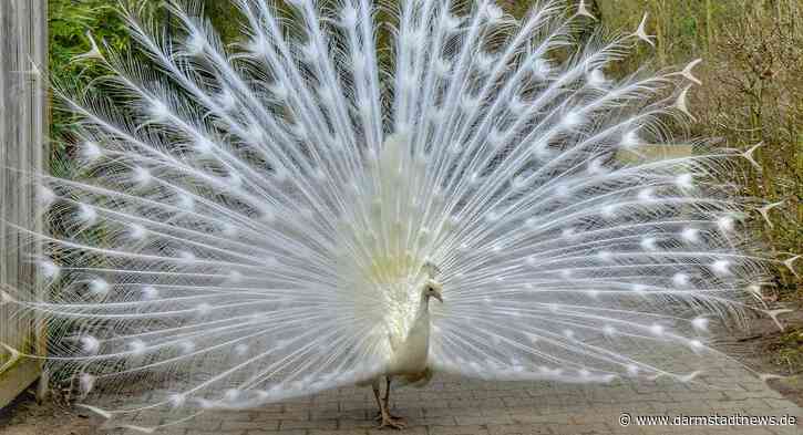 „Nachhaltig in den Frühling“ – Frühlingsfest im Zoo Vivarium