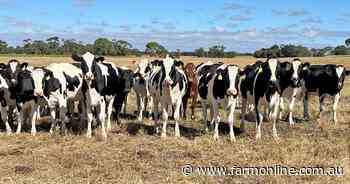Former dairy farm makes a stunning auction sale price