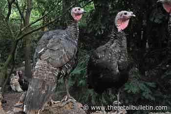 Farmison acquired by consortium led by former Asda CEO