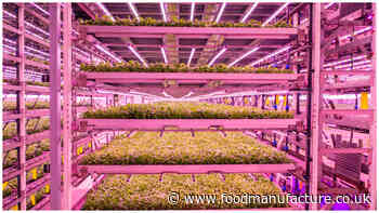 Warehouse leasing transactions from food producers rise by 94%