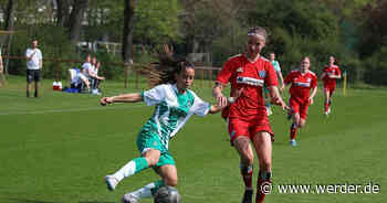 U17 unterliegt dem Hamburger SV