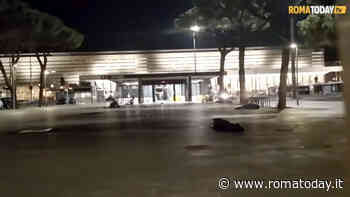 Palpeggiata e rapinata all'alba davanti alla stazione Termini. Caccia all'aggressore