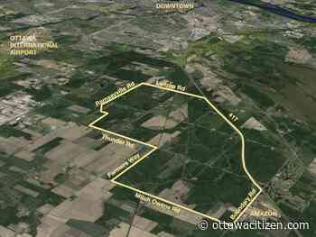 Buckles: Ottawa Council failed on the Tewin tree-cutting controversy