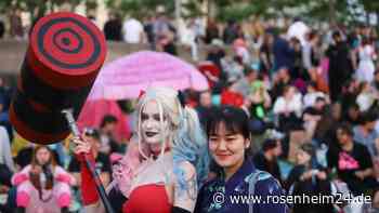 Japan-Tag in Düsseldorf – Infos zu Feuerwerk, Programm und Anfahrt