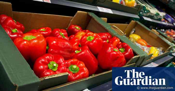 British supermarkets report shortages of peppers as Morrisons rations sales