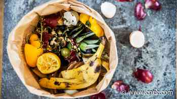 11 Money-Saving Ways to Repurpose Food Scraps and Reduce Waste     - CNET