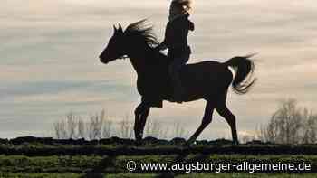 Pferd stürzt in Illerkanal: Großer Rettungseinsatz mit Kran und Taucher