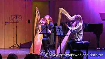 Konzert in Nagold: Lehrer und    Schüler stehen gemeinsam auf der Bühne
