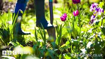 Sheffield scientists call for ban on artificial grass