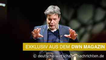 Habecks „Wärmewende“: Kabinett beschließt Verbot von Öl- und Gasheizungen