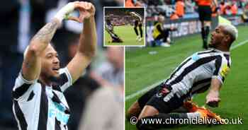 Joelinton keeps his calm after Pedro Porro's frustration amid Alexander Isak's question for Joe Willock