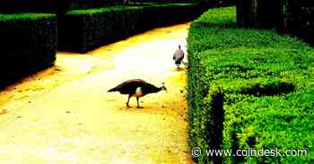 Declining Bitcoin-Ether Correlation Could Affect Crypto Investors’ Hedging Strategies: Coinbase