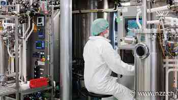 Rezepte gegen den Fachkräftemangel: Der Arbeitgeberverband will, dass die Schweizer mehr arbeiten