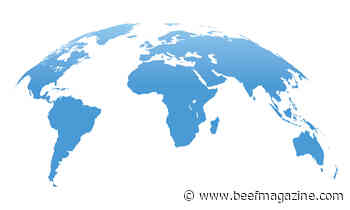 Opportunities, challenges for U.S. red meat exports in Africa