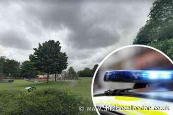 Dartford Central Park stabbing report: Police statement