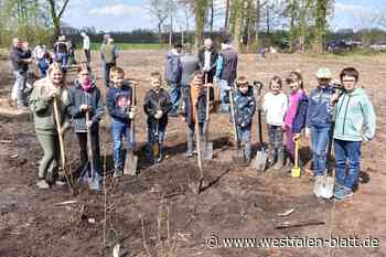 An der Garnheide entsteht ein Wald