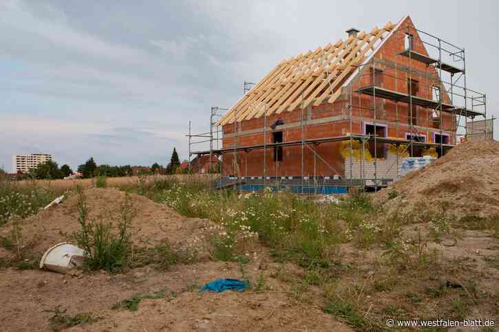 Entwurf zum neuen Regionalplan: Delbrück soll 60 Prozent weniger Fläche für neue Wohnhäuser bekommen