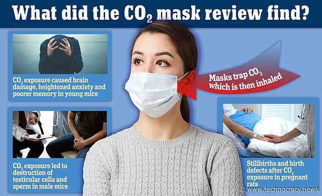 Face Mask Risk: Stillbirths, Testicular Dysfunction, Cognitive Decline