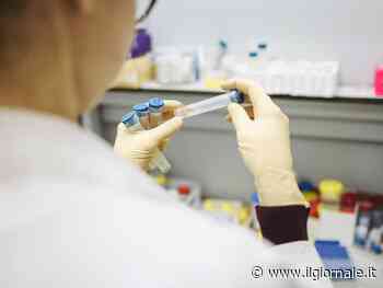 Covid, cos'è la nuova variante "camaleontica" scoperta in Polonia