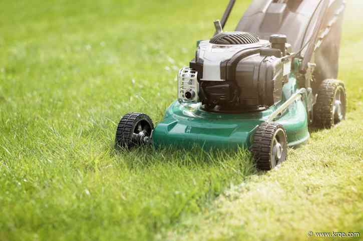 ABQ collecting grass cuttings, green waste for free