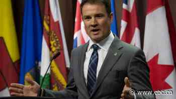 NDP critic calls proposed changes to air passenger rights 'bureaucratic, expensive'