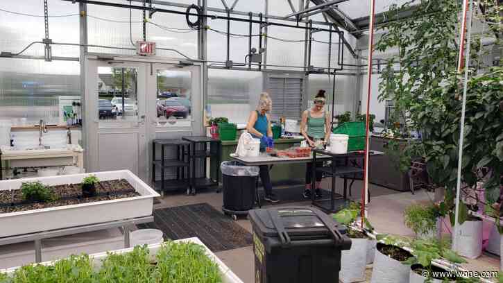 Parkview Health announces plans to expand its Veggie RX program for 2023