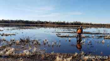 How peatlands on the Prairies are at risk from climate change