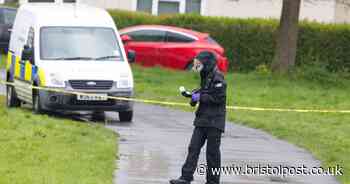 Violent attacks in Bristol spark police investigations