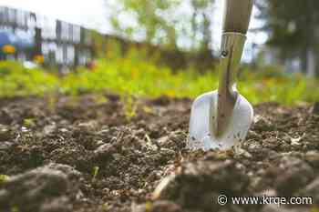 Community gardens going up in rural New Mexico communities