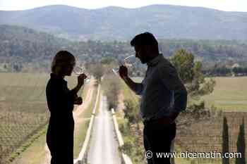 "Elle est unique en France": dans le Var, une formation universitaire autour de l'œnotourisme et du développement durable