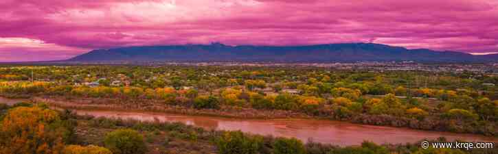 Native New Mexico plant named endangered species
