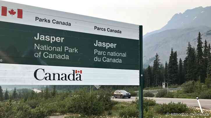 Bear that killed dog destroyed due to 'very concerning' and 'predatory' behaviour: Jasper National Park