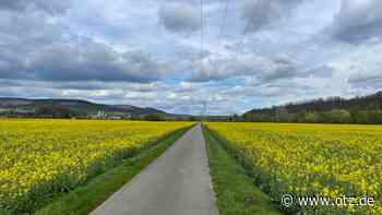 Raps steht im Saaletal bereits in voller Blüte