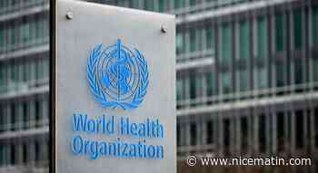 Un haut responsable de l'OMS limogé pour agression sexuelle