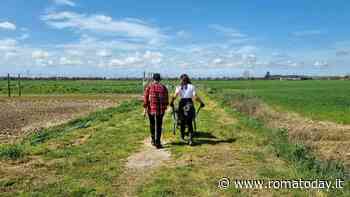 Le Vergarette: storia di due sorelle e del loro orto a Roma