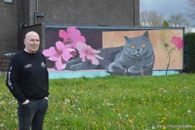 Kattenliefhebbers laten hun liefde voor Britse korthaar in mural vereeuwigen, en iedereen mag meegenieten