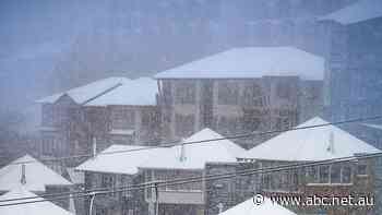 Staff accommodation at Victoria's ski resorts more expensive than New York, worker says